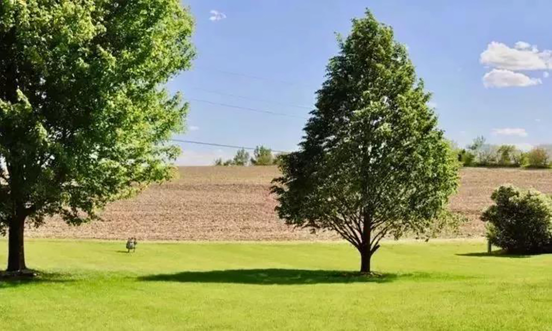 植樹(shù)節(jié)|守護(hù)綠色家園的秘密武器!